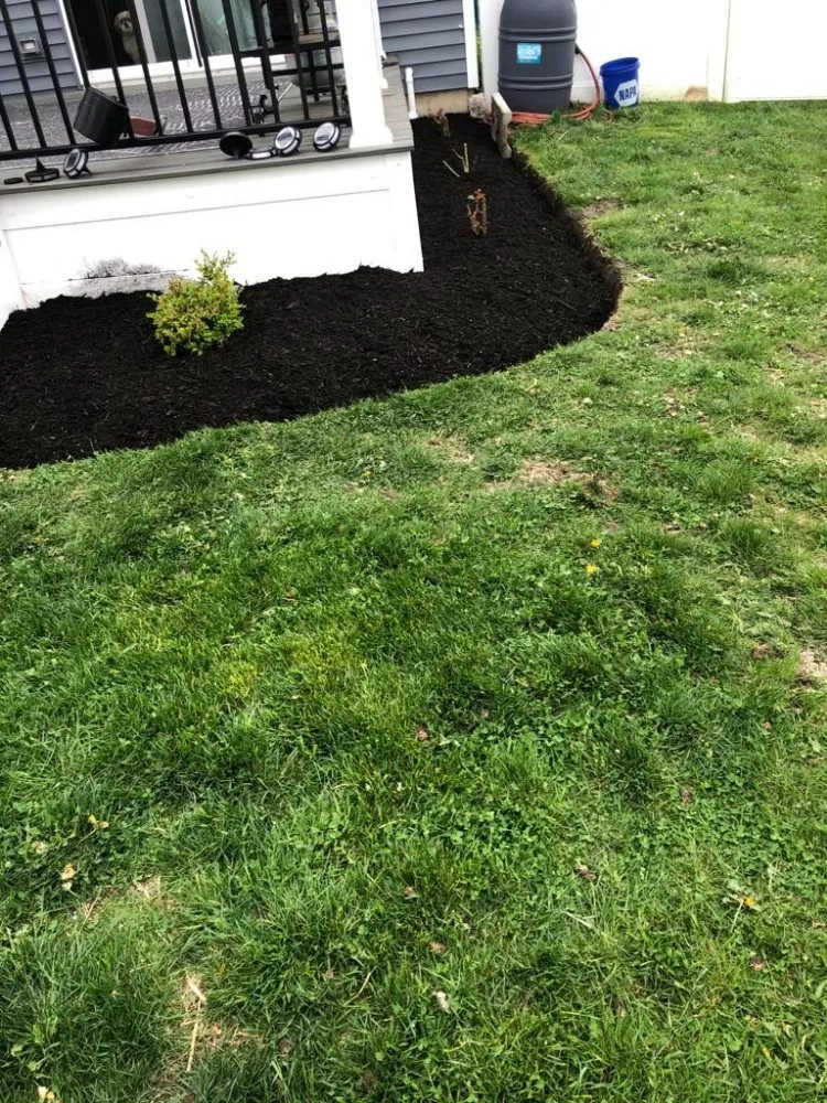 Expert yard maintenance in Plainfield, IL by Orizaba's Landscaping