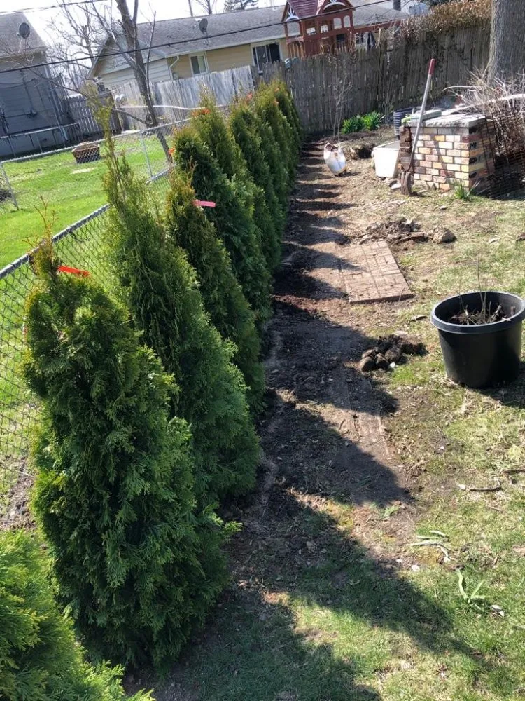 Local landscape design for outdoor upgrades in Plainfield, IL by Orizaba's Landscaping