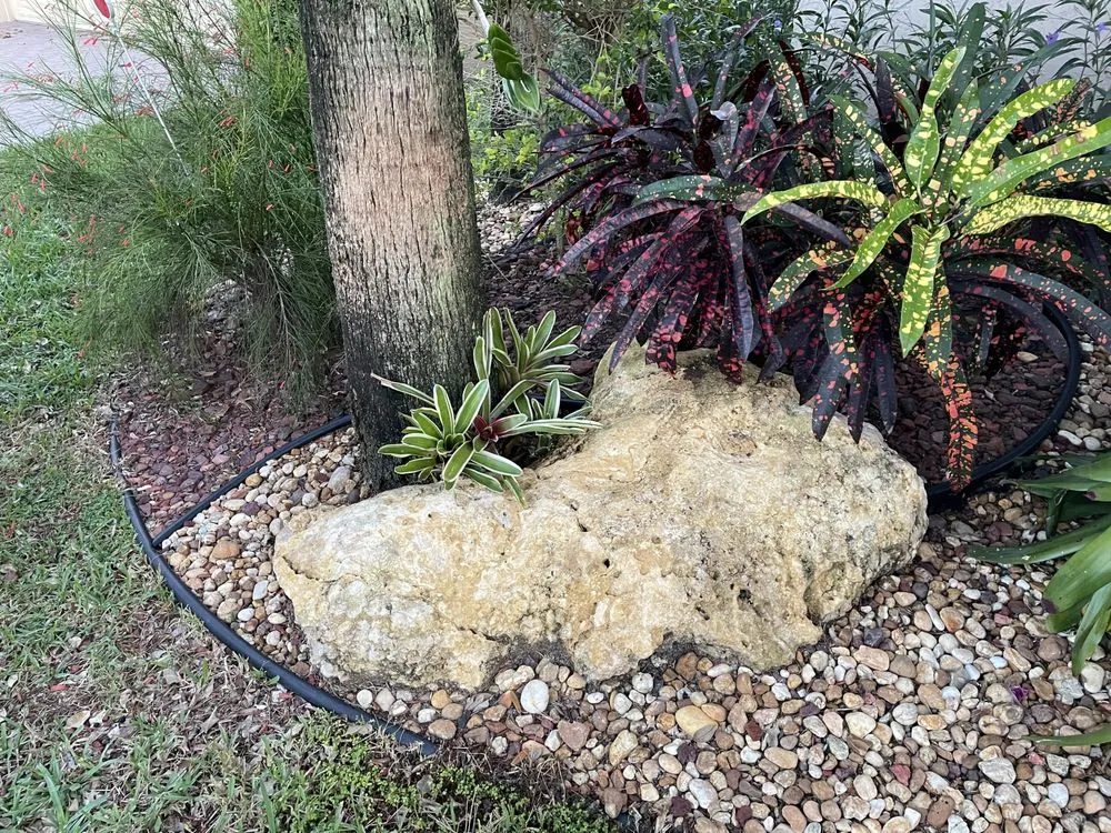 Custom residential landscaping with custom design in Coral Springs, FL by Orkin Landscaping Services