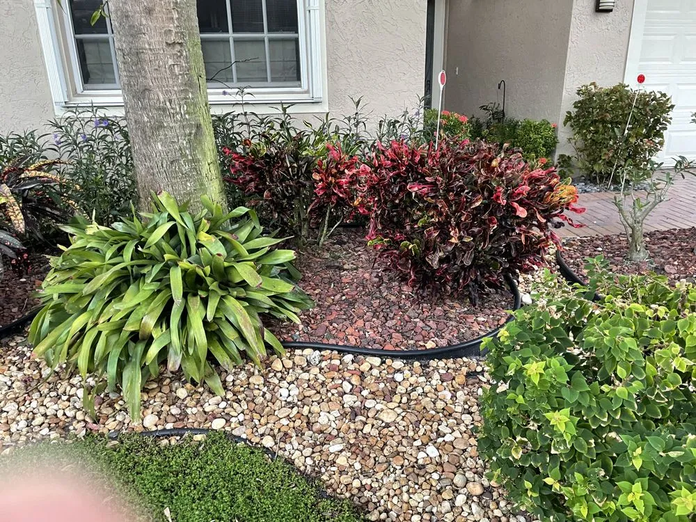 Reliable lawn care service in Coral Springs, FL by Orkin Landscaping Services
