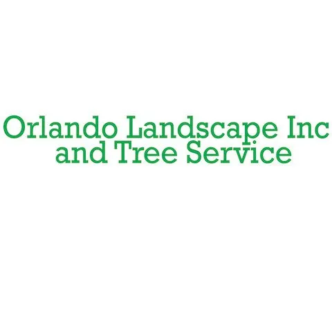 Affordable yard cleanup service experts serving Stuart, FL - Orlando Landscape Inc and Tree Service