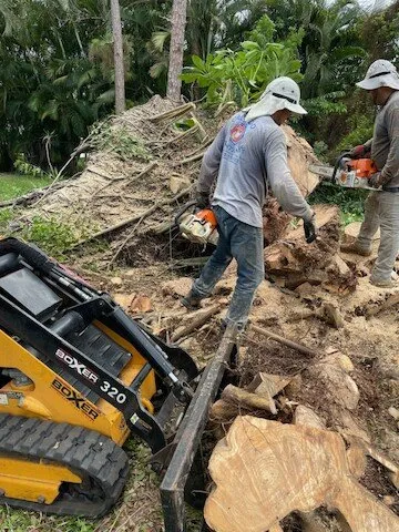 Trusted yard cleanup service near you across Stuart, FL - Orlando Landscape Inc and Tree Service