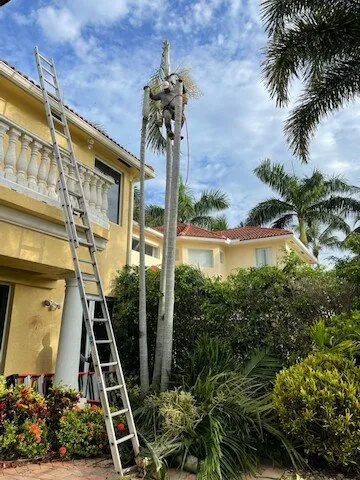 Trusted residential landscaping for year-round maintenance in Stuart, FL by Orlando Landscape Inc and Tree Service