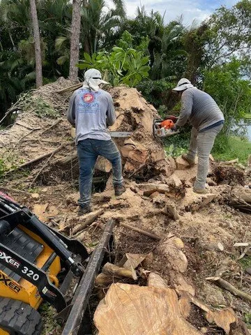 Trusted landscaping services in Stuart, FL - Orlando Landscape Inc and Tree Service