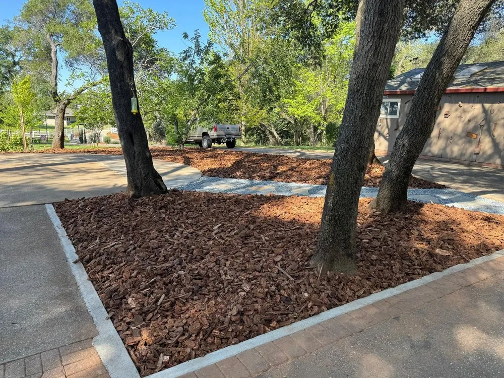 Custom yard cleanup service in Auburn, CA - Orlando Landscaping Services