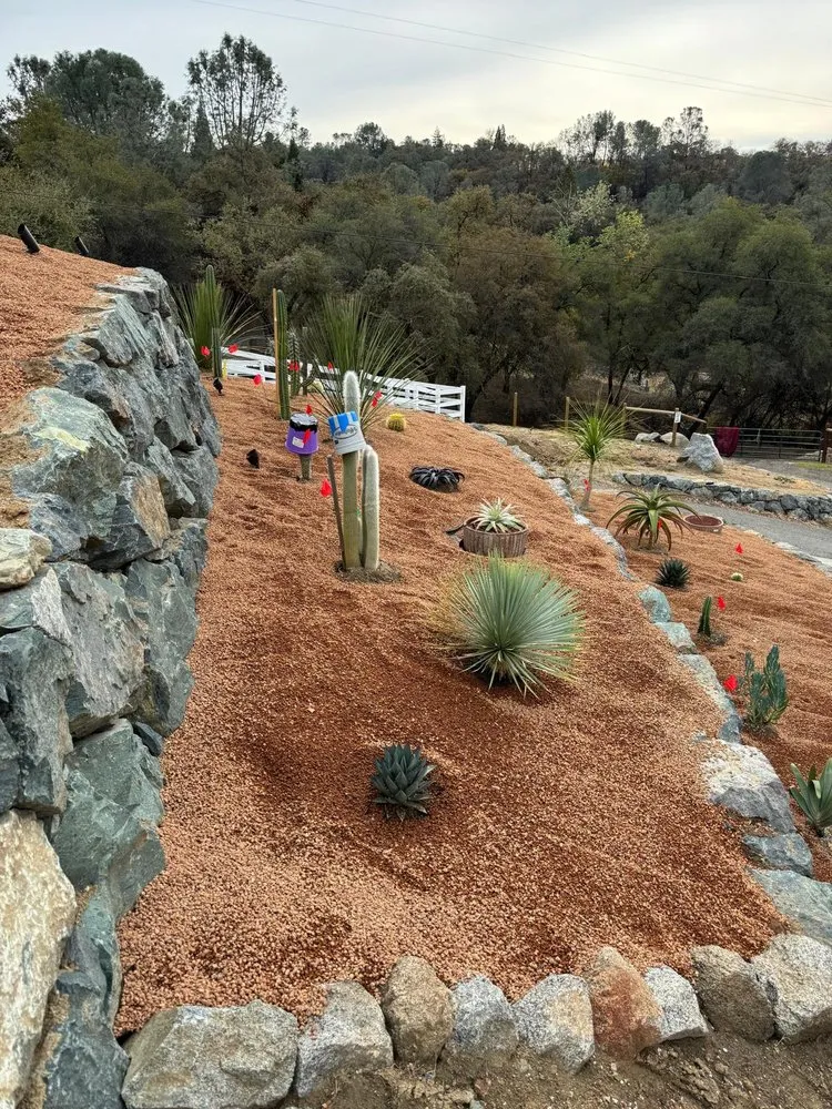 Expert yard cleanup service for year-round maintenance in Auburn, CA by Orlando Landscaping Services