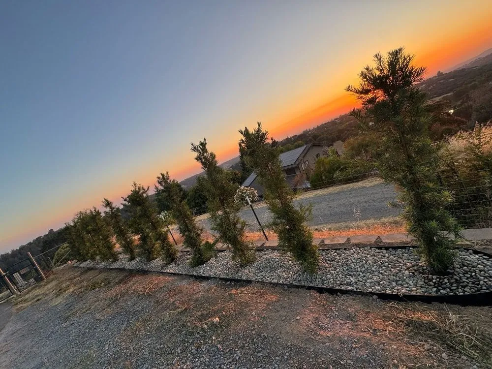 Affordable residential landscaping for residential properties in Auburn, CA by Orlando Landscaping Services