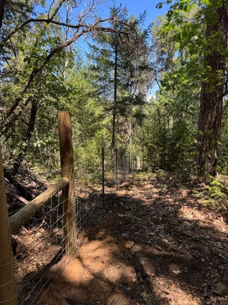 Custom landscape design experts serving Auburn, CA - Orlando Landscaping Services