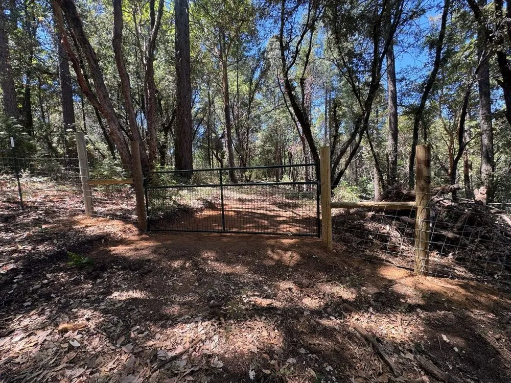 Custom lawn care service experts serving Auburn, CA - Orlando Landscaping Services