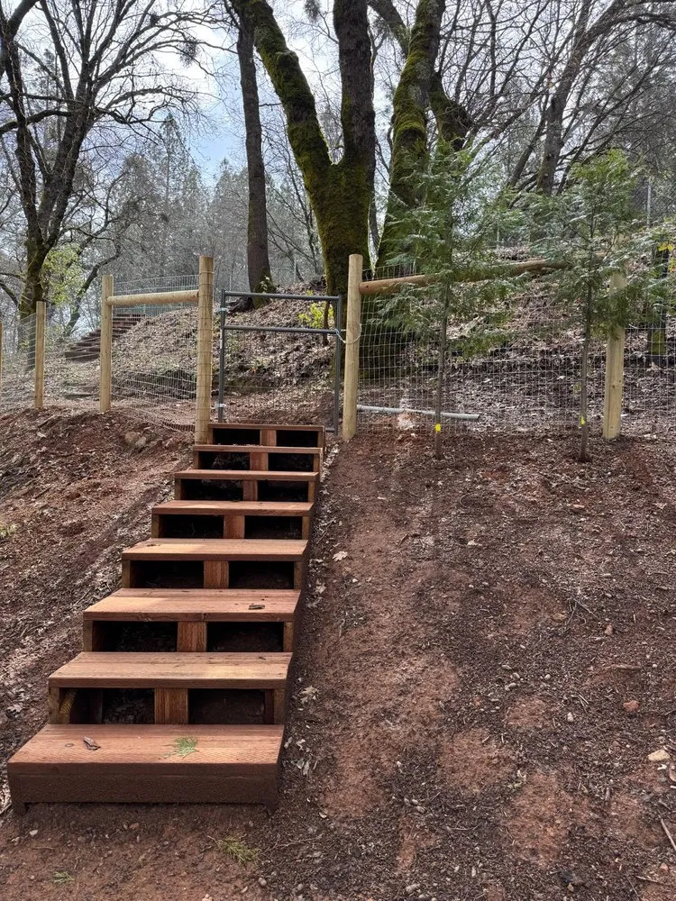 Professional yard cleanup service for year-round maintenance across Auburn, CA - Orlando Landscaping Services