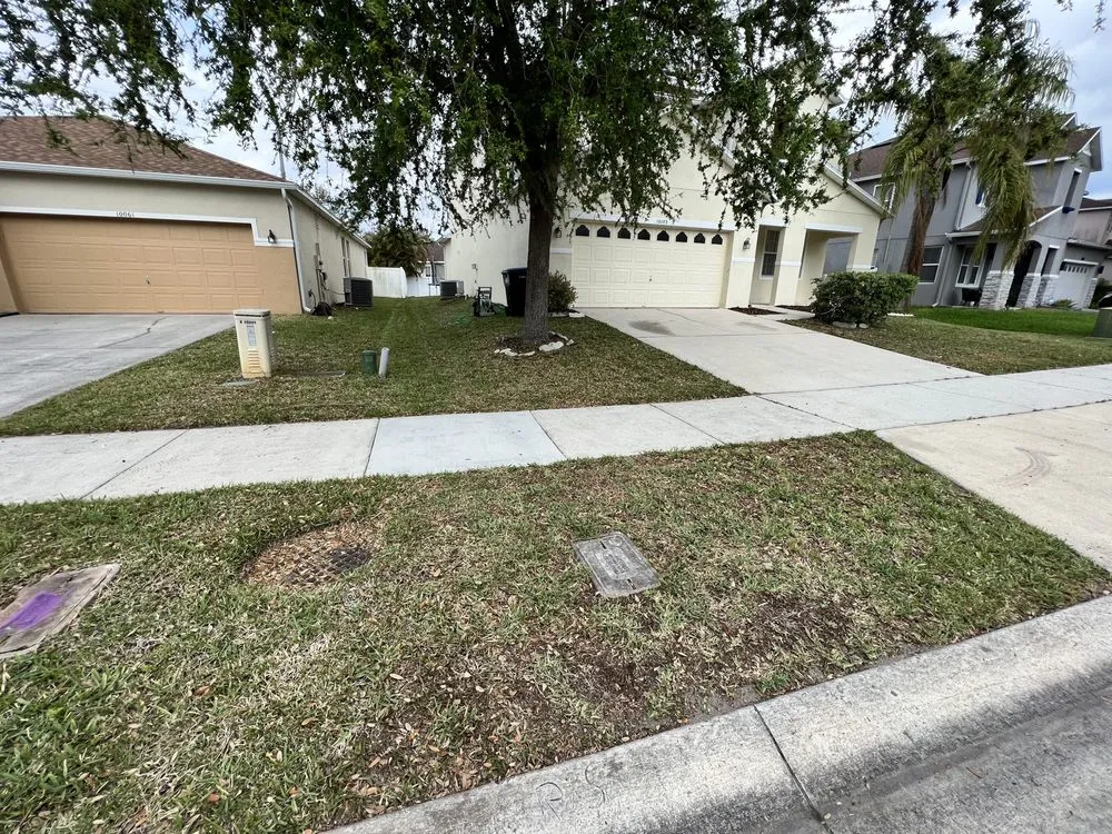 Trusted lawn mowing service for outdoor upgrades across Orlando, FL - Orlando Lawn Pros