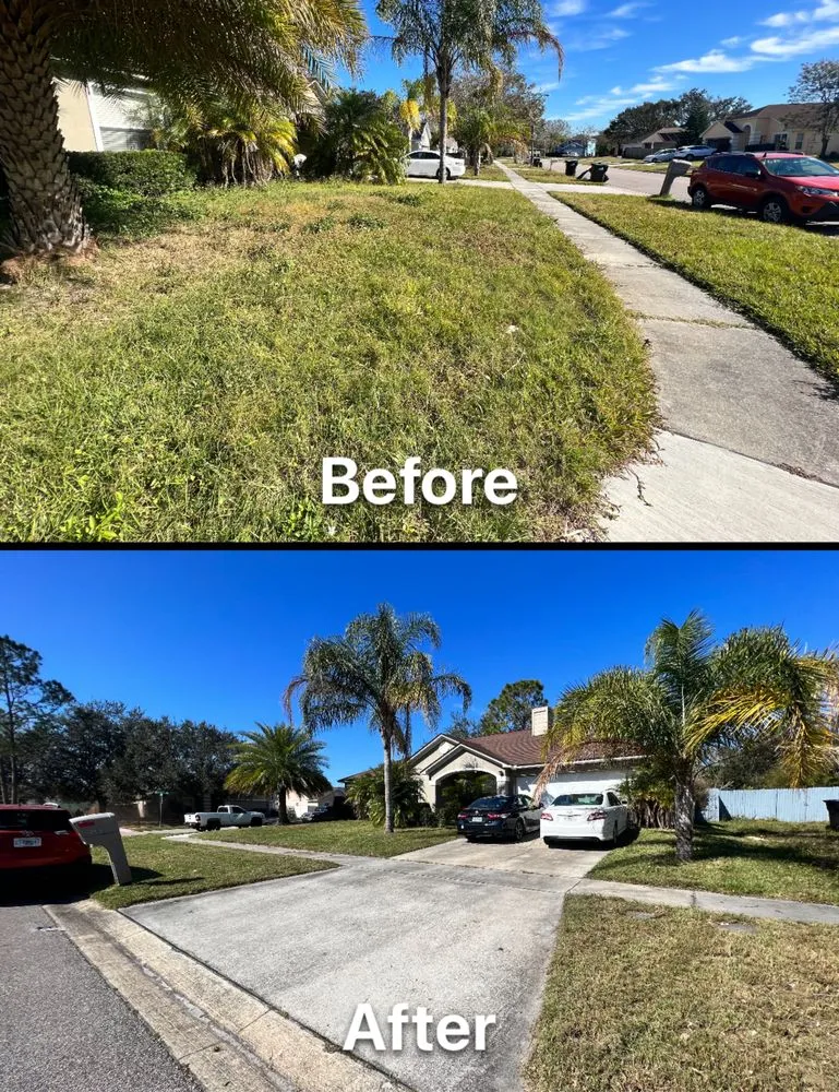 Affordable residential landscaping in Orlando, FL by Orlando Lawn Pros