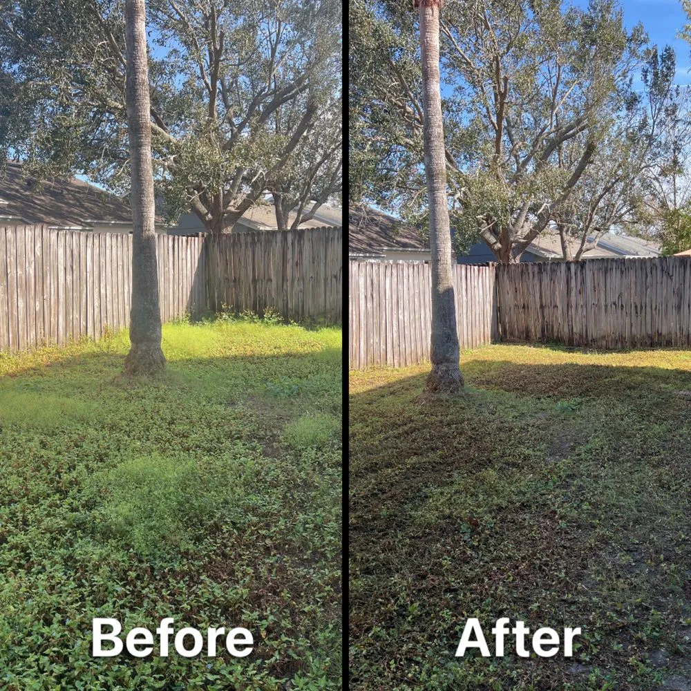Affordable yard cleanup service experts serving Orlando, FL - Orlando Lawn Pros
