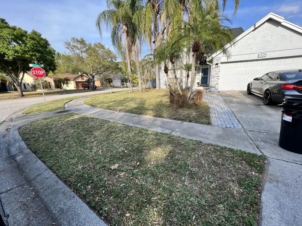 Affordable outdoor landscaping experts serving Orlando, FL - Orlando Lawn Pros