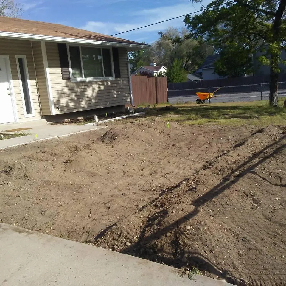 Professional landscaping services experts serving Ocala, FL - Orlando Lawnscapes