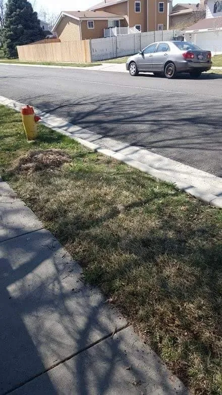 Reliable landscape design in Ocala, FL - Orlando Lawnscapes