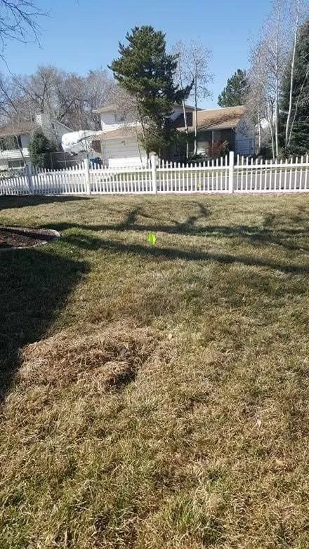 Custom residential landscaping for beautiful yards in Ocala, FL by Orlando Lawnscapes