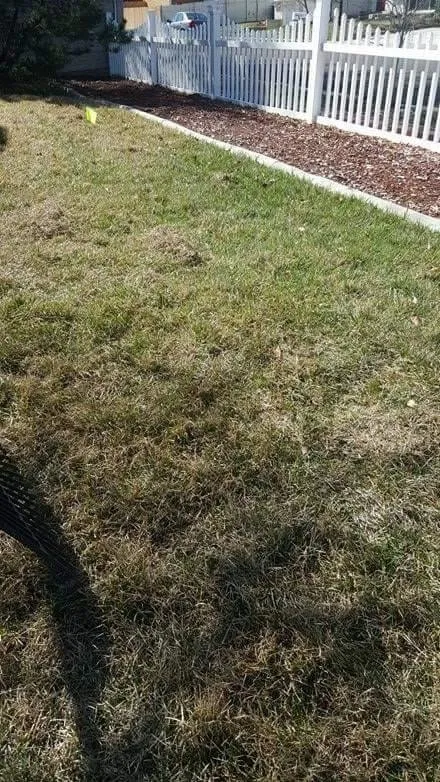 Local lawn care service with custom design in Ocala, FL by Orlando Lawnscapes