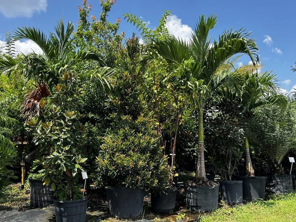 Professional lawn care service experts serving Apopka, FL - Orlando Outdoors