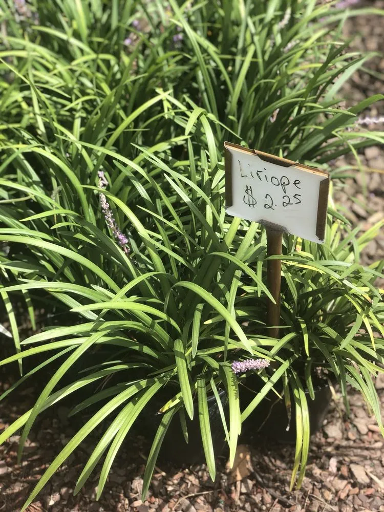 Custom lawn care service in Apopka, FL - Orlando Outdoors