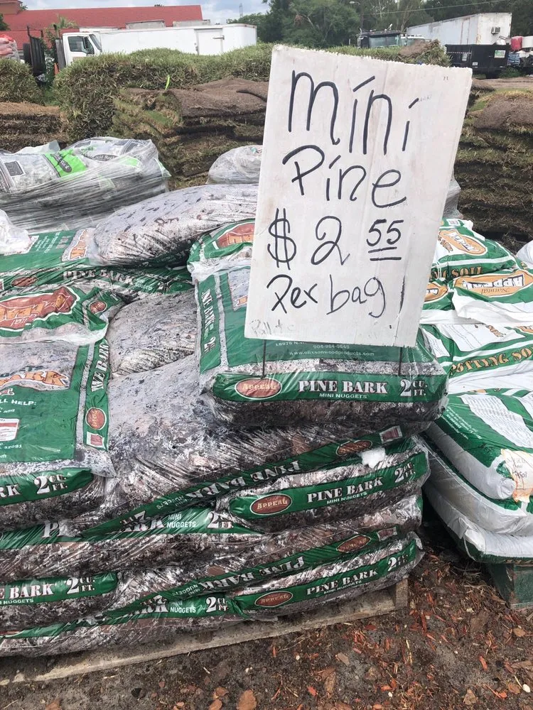 Expert lawn care service with custom design in Apopka, FL by Orlando Outdoors