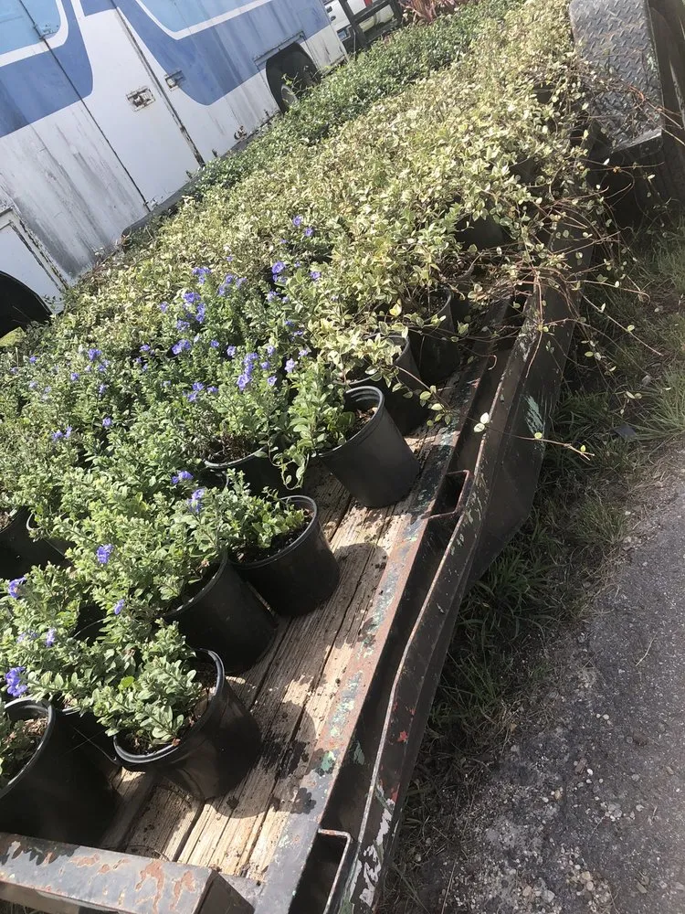 Professional lawn care service in Apopka, FL - Orlando Outdoors