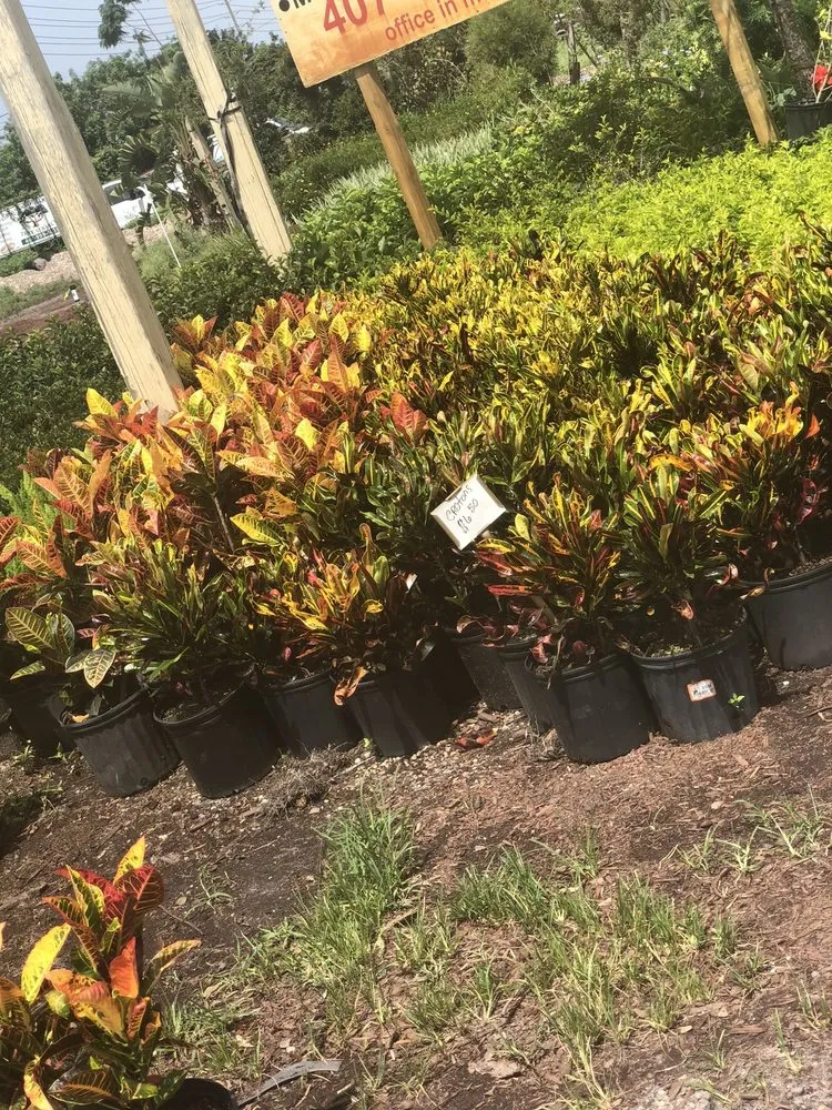 Local lawn mowing service for homes across Apopka, FL - Orlando Outdoors