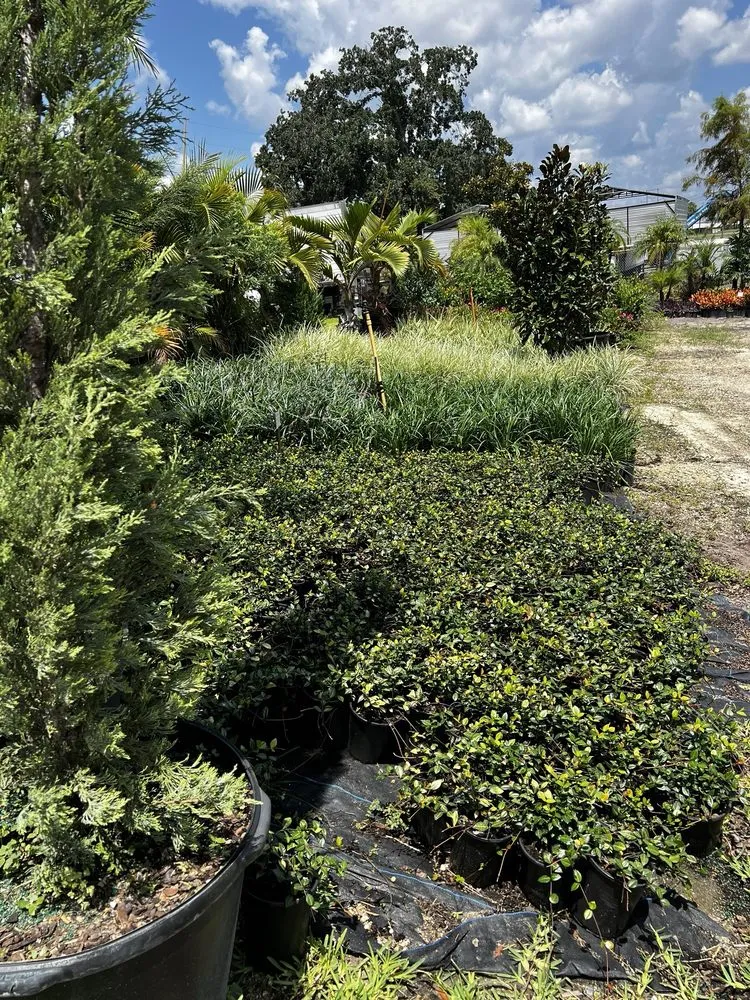 Reliable landscape design near you across Apopka, FL - Orlando Outdoors