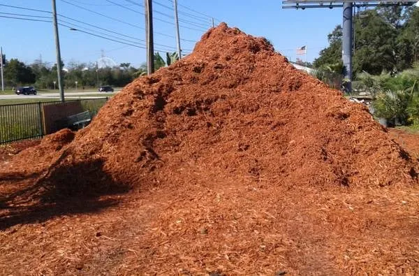 Affordable lawn care service for residential properties across Apopka, FL - Orlando Outdoors