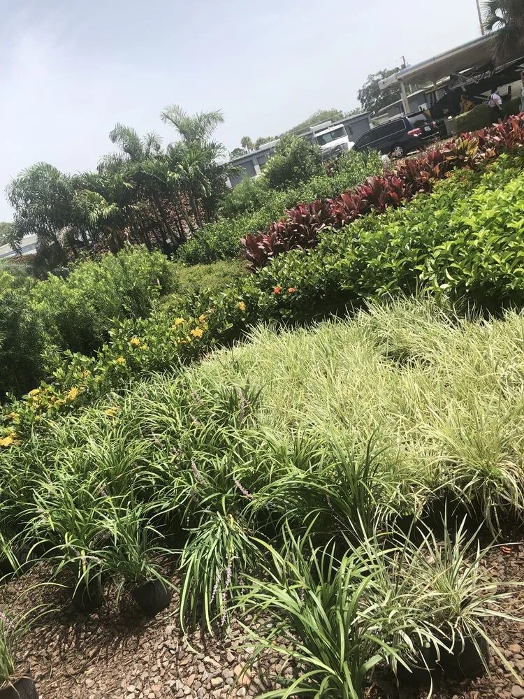 Trusted landscape installation in Apopka, FL - Orlando Outdoors