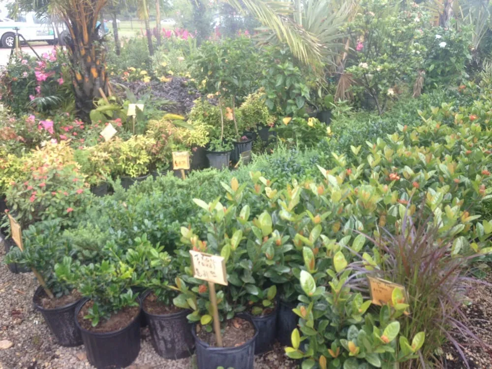 Trusted lawn care service experts serving Apopka, FL - Orlando Outdoors