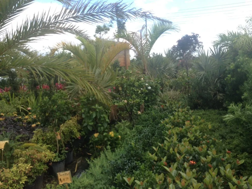 Top-rated landscape design experts serving Apopka, FL - Orlando Outdoors