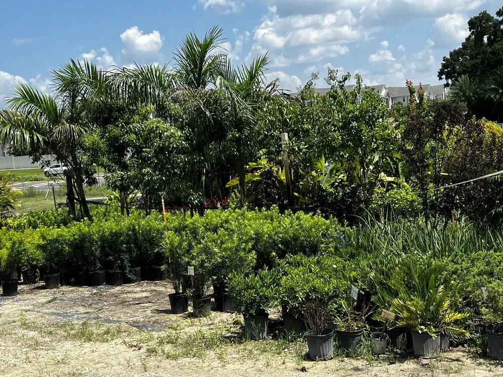 Top-rated garden landscaping for beautiful yards in Apopka, FL by Orlando Outdoors