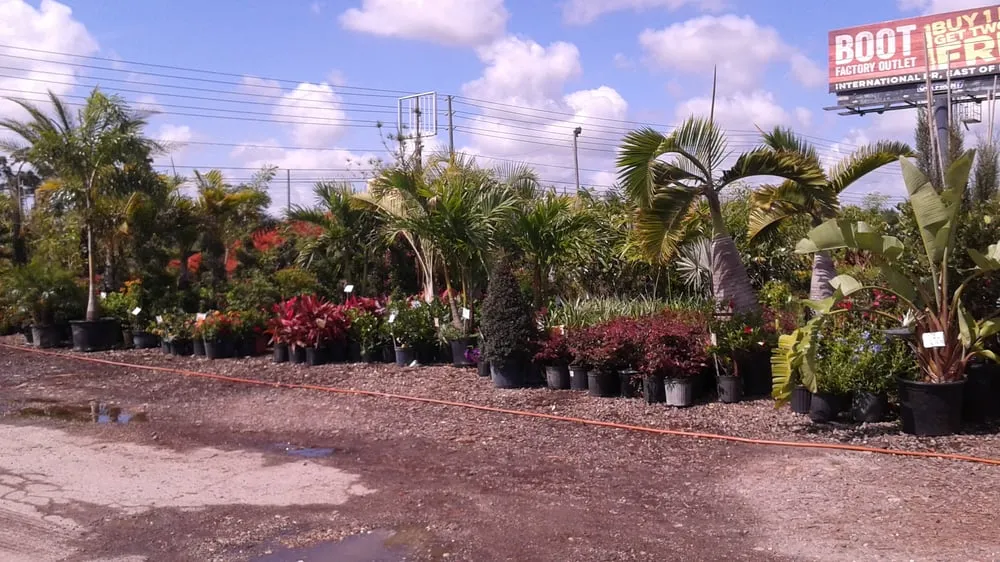 Professional yard maintenance in Apopka, FL - Orlando Outdoors
