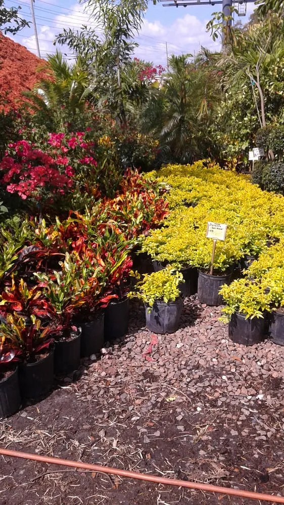 Professional landscape design experts serving Apopka, FL - Orlando Outdoors