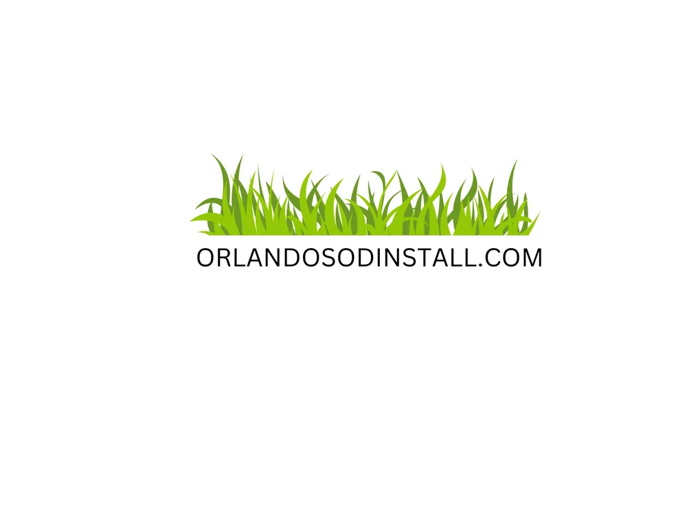 Local lawn care service experts serving Orlando, FL - Orlando Sod Install