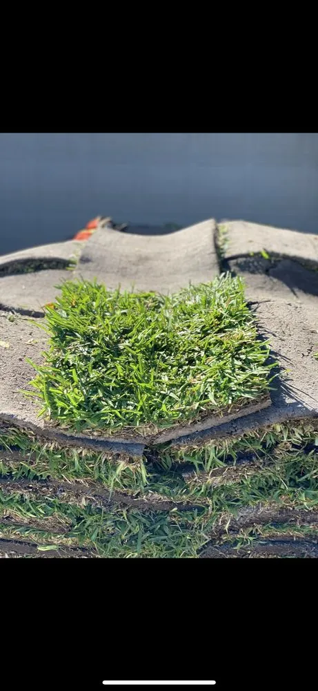 Expert landscape installation experts serving Orlando, FL - Orlando Sod Install