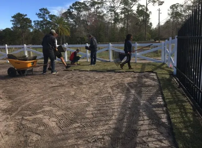 Top-rated yard maintenance in Orlando, FL by Orlando Sod Install