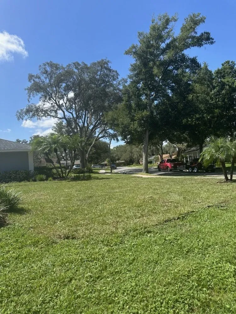 Top-rated garden landscaping in Orlando, FL by Orlando Sod Install