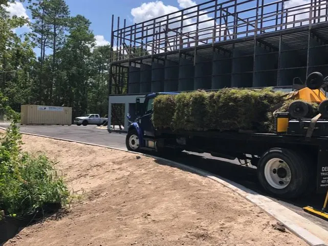 Affordable yard cleanup service in Orlando, FL - Orlando Sod Install