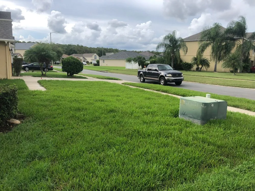 Reliable yard cleanup service in Orlando, FL - Orlando Sod Install