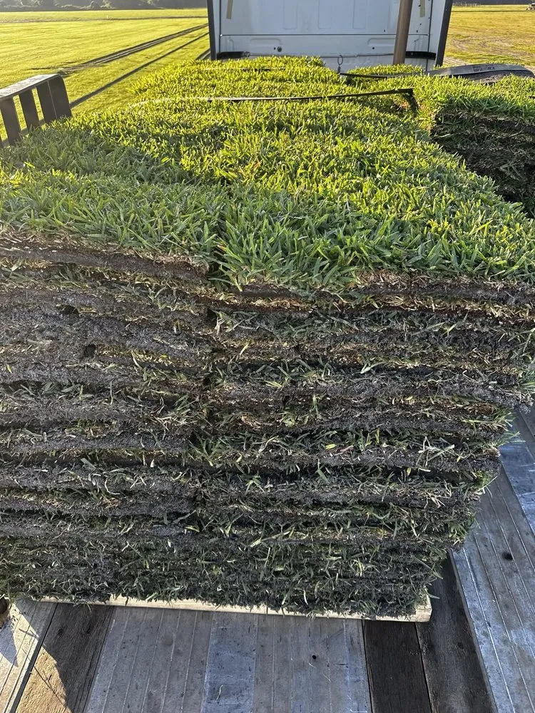 Professional yard cleanup service for residential properties in Orlando, FL by Orlando Sod Install