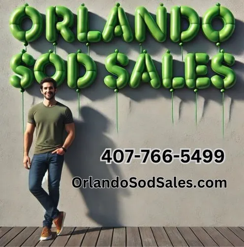 Local landscaping services with custom design in Orlando, FL by Orlando Sod Sales