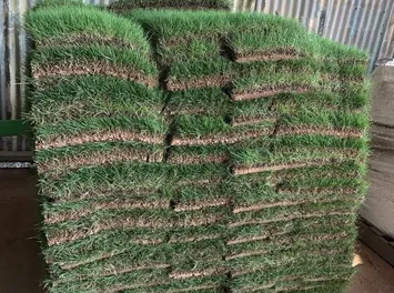 Custom lawn mowing service for residential properties across Orlando, FL - Orlando Sod Sales