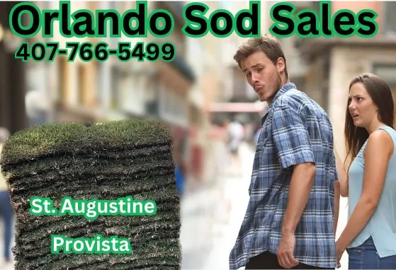 Orlando Sod Sales Logo