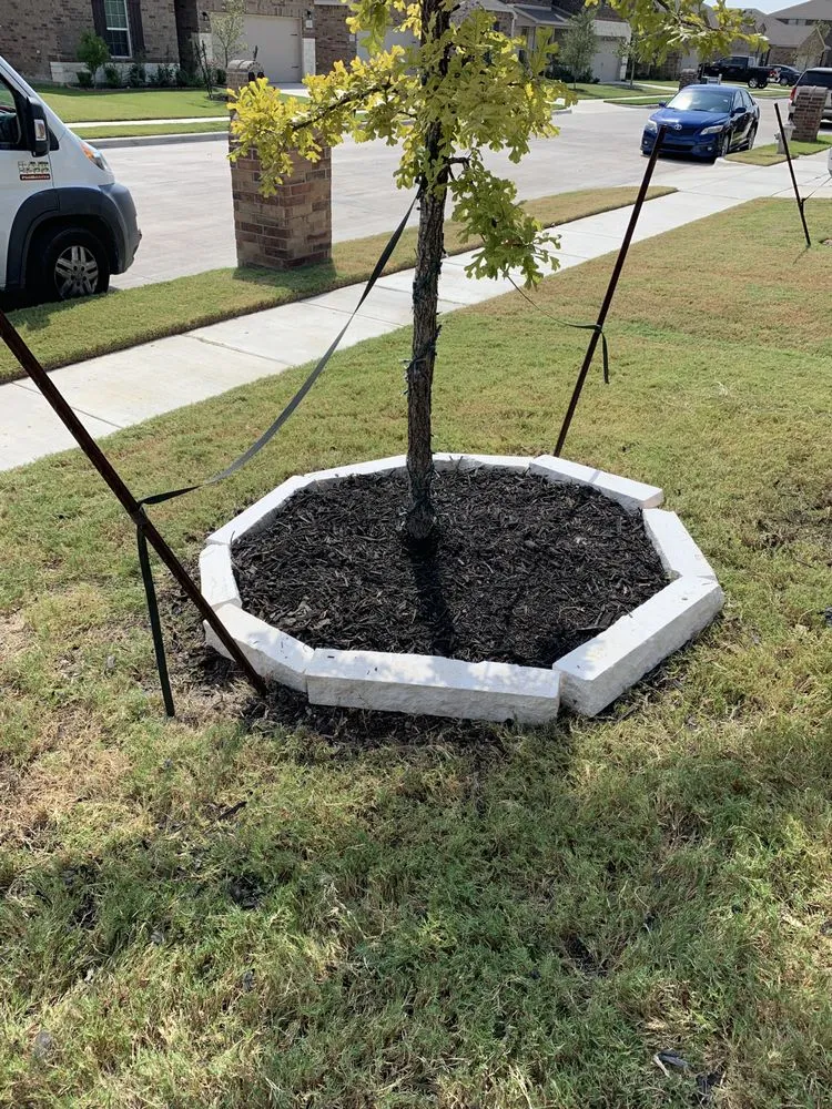 Affordable landscape installation in Mesquite, TX by Orlando's Landscaping