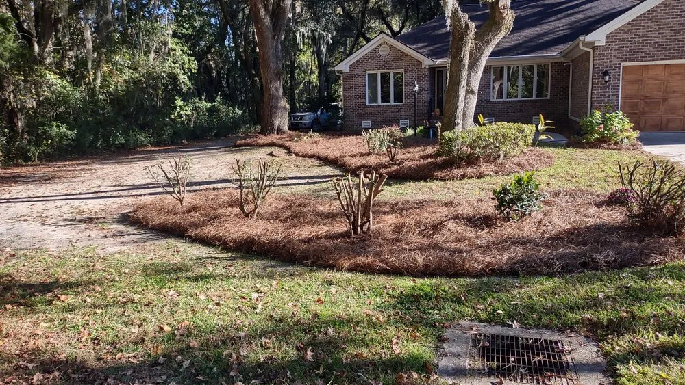 Professional outdoor landscaping near you in Georgetown, SC by Orlando's Lawn Care Services