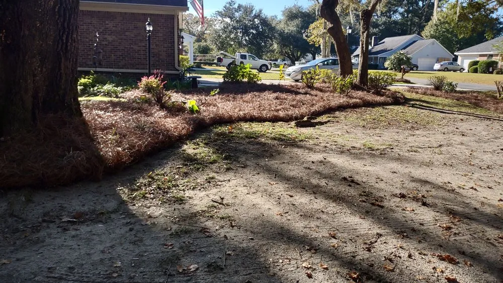 Trusted yard maintenance in Georgetown, SC - Orlando's Lawn Care Services