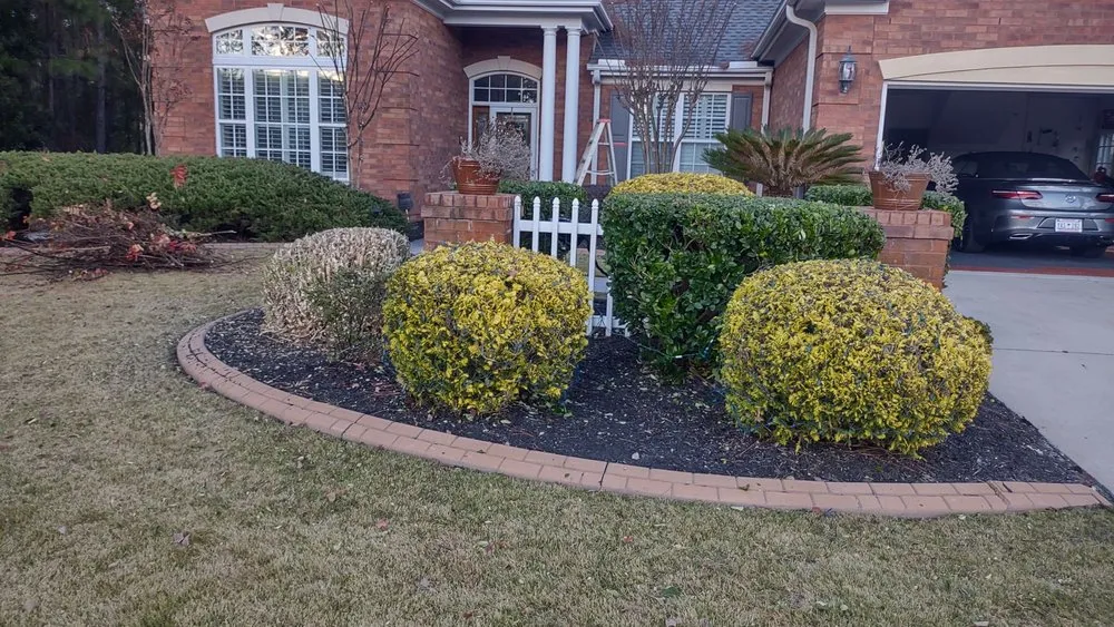 Top-rated lawn mowing service in Georgetown, SC by Orlando's Lawn Care Services