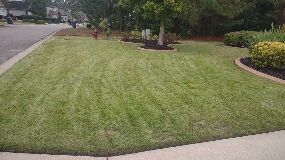 Expert yard maintenance experts serving Georgetown, SC - Orlando's Lawn Care Services